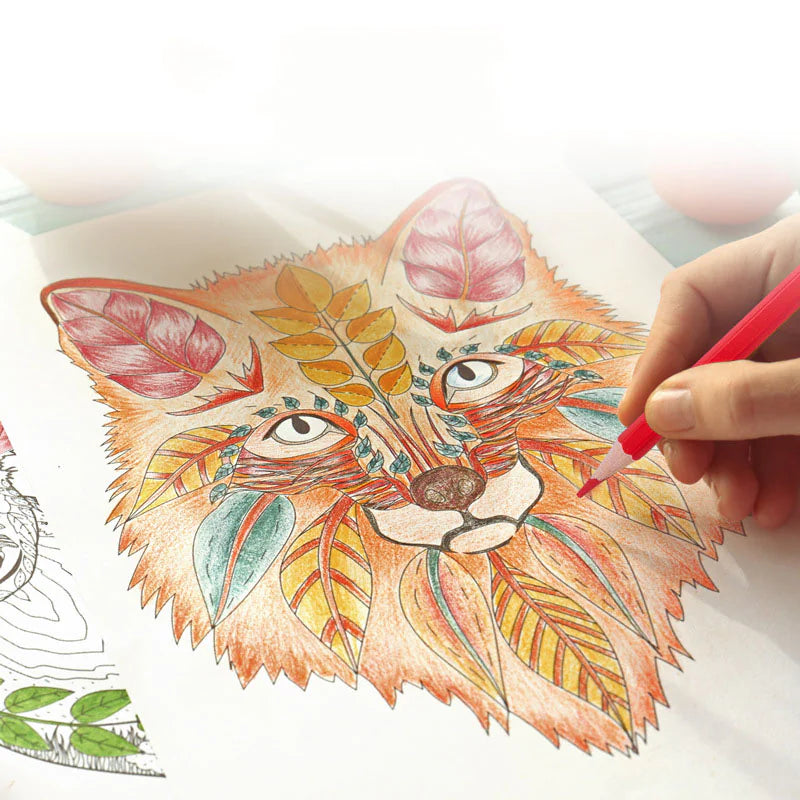 Kids' Creative Color Pencils
