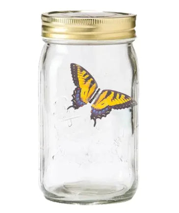 LED Magic Butterfly Jar