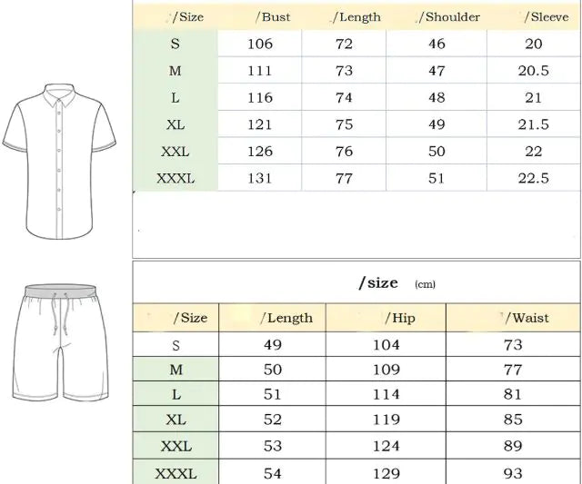 Men's Casual Short Sleeve Lapel Shirt And Shorts Set