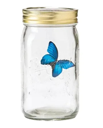 LED Magic Butterfly Jar