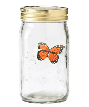 LED Magic Butterfly Jar