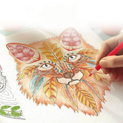 Kids' Creative Color Pencils